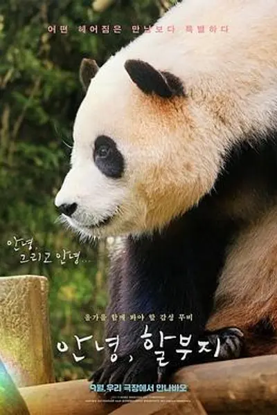 再见,福宝