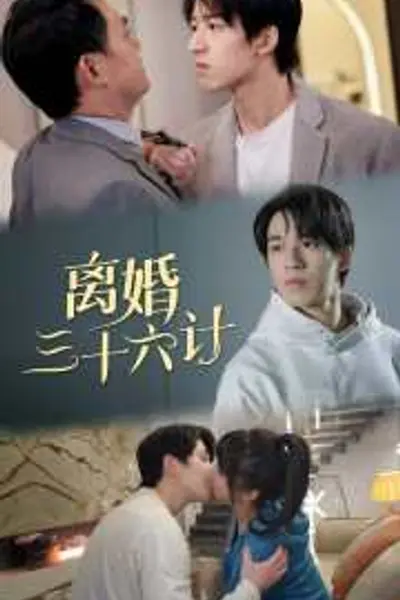 离婚三十六计