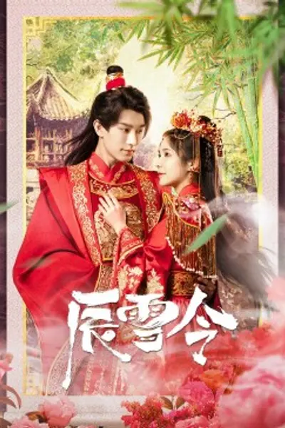 辰雪令