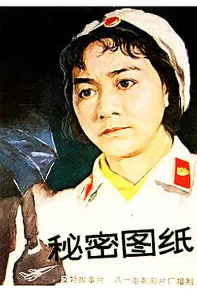 秘密图纸电影版