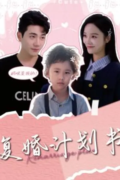 复婚计划书