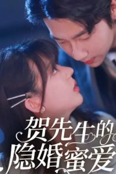 贺先生的隐婚蜜爱