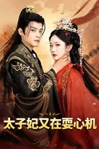 太子妃又在耍心机