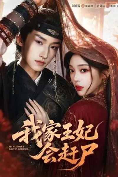 我家王妃会赶尸
