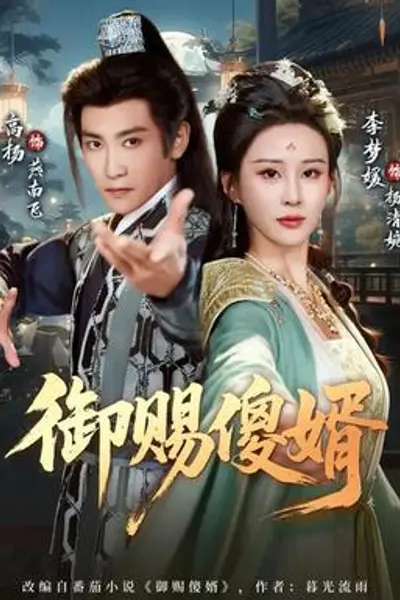 御赐傻婿