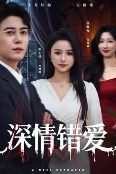 深情错爱