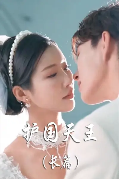 护国天王