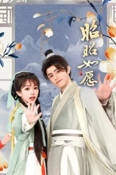 昭昭如愿