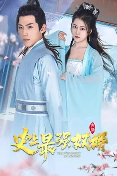 史上最强奴婿