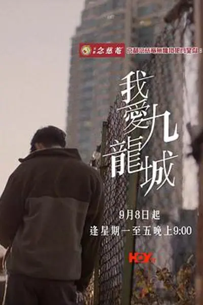 我爱九龙城粤语