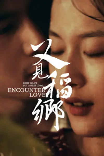 又见稻乡