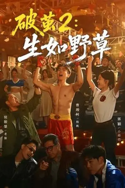 破茧2:生如野草