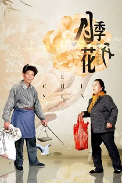 月季花开