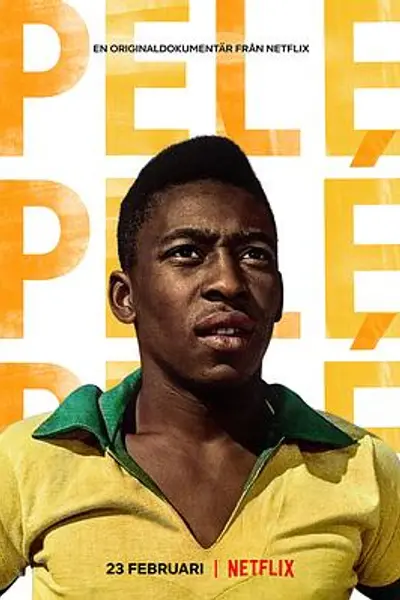 球王贝利:巴西足球传奇