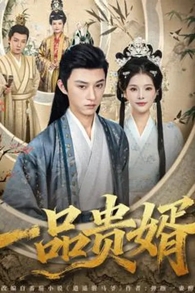 一品贵婿