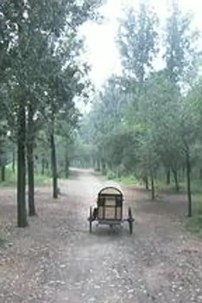 错门记