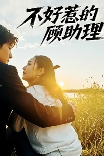 不好惹的顾助理