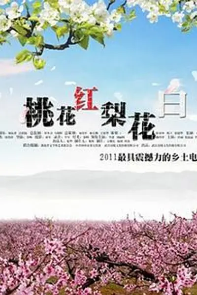 桃花红 梨花白