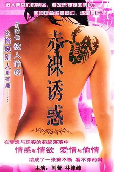 南北有情天