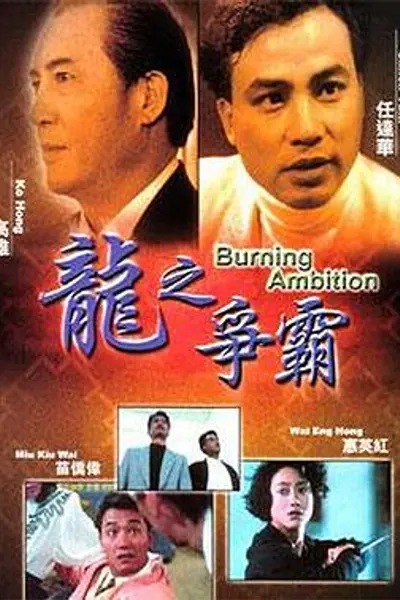 龙之争霸
