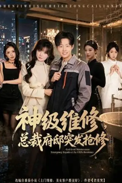 神级维修,总裁府邸突发抢修