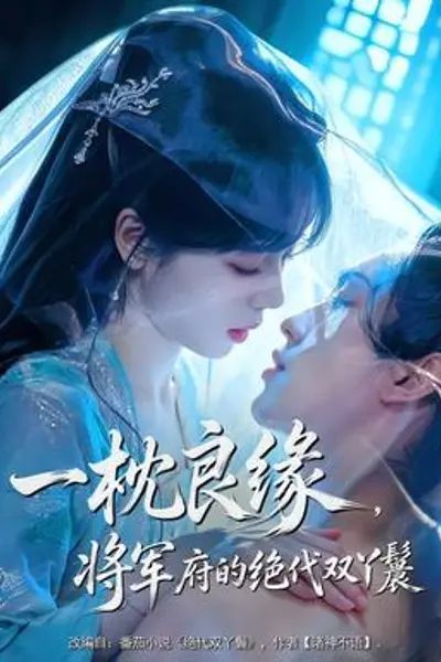 一枕良缘,将军府的绝代双丫鬟
