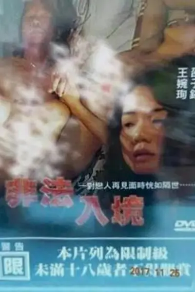 非法入境