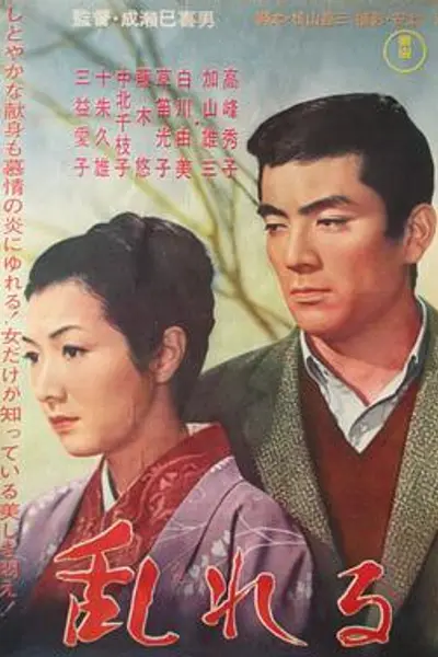 情迷意乱