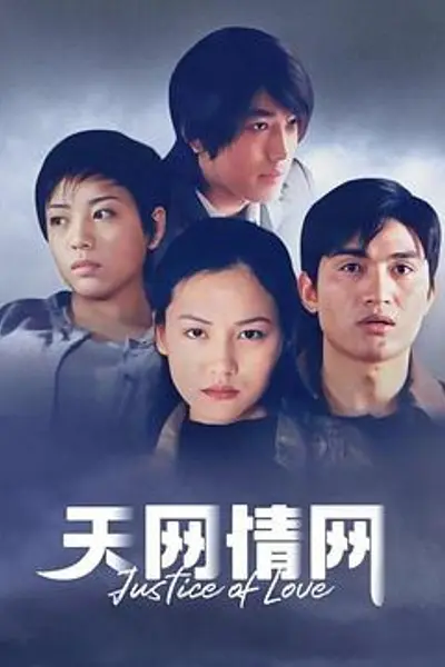 天网情网