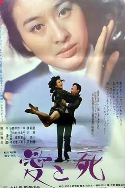 生死恋国语