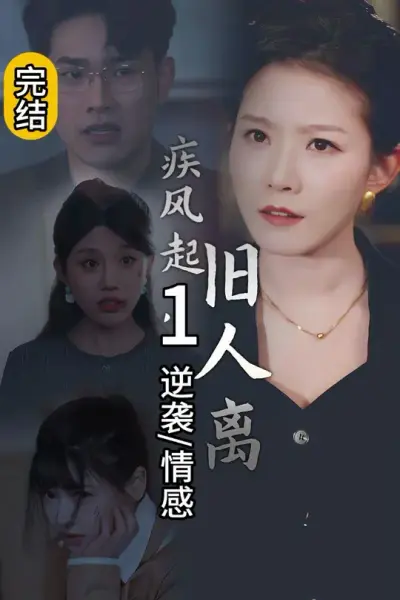 疾风起旧人离