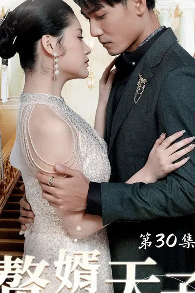 赘婿天子