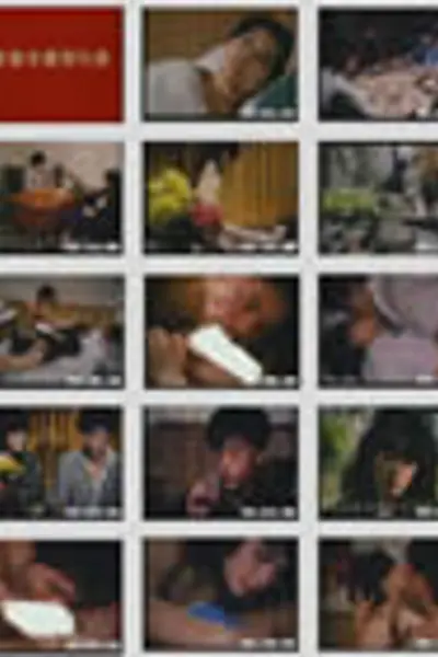 青春年华齐叫春