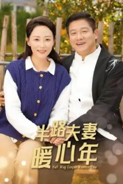 半路夫妻暖心年