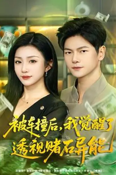 被车撞后,我觉醒了透视赌石异能