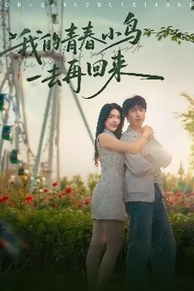 我的青春小鸟一去再回来