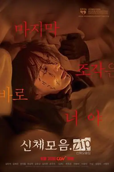 身体集合.zip