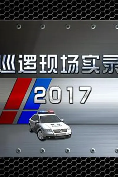 巡逻现场实录2017