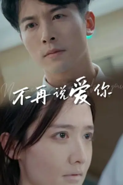 不再说爱你短剧