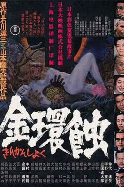 金环蚀