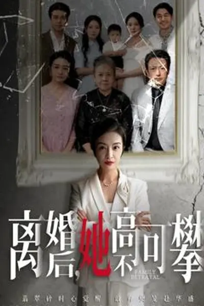 离婚后她高不可攀