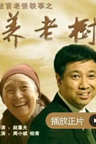 法官老张轶事之养老树