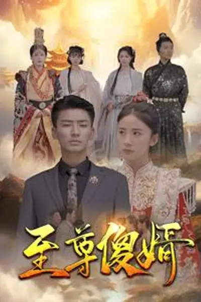 至尊傻婿
