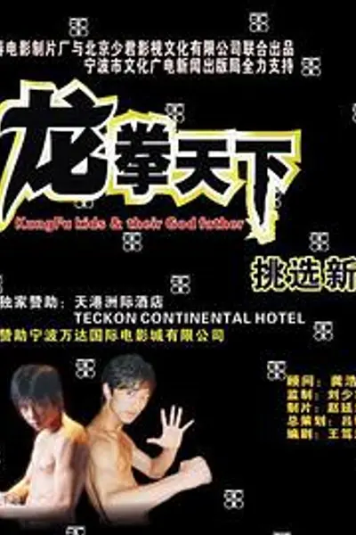 龙拳天下