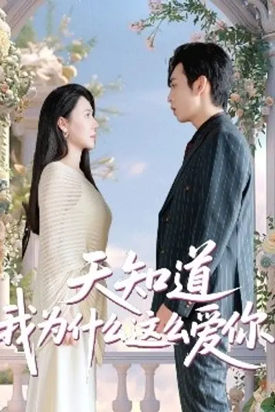 天知道我为什么这么爱你