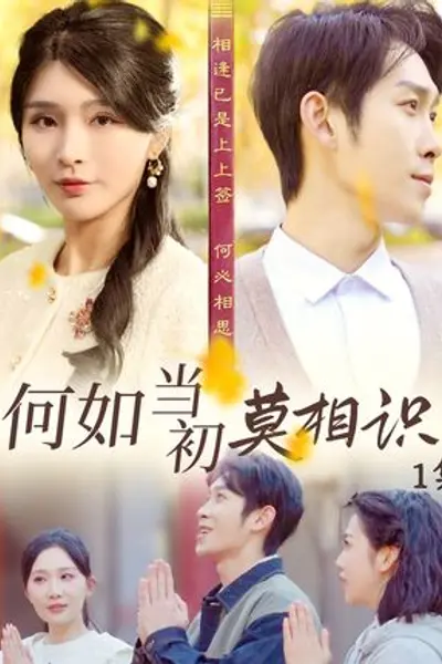 何如当初莫相识