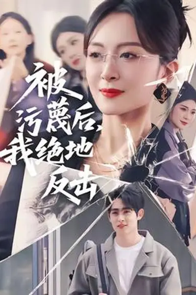 被污蔑后，我绝地反击