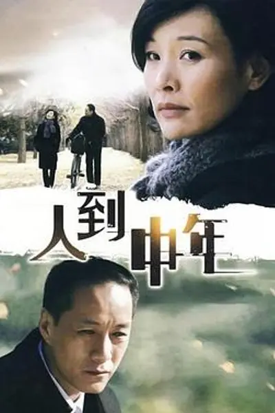 人到中年2009