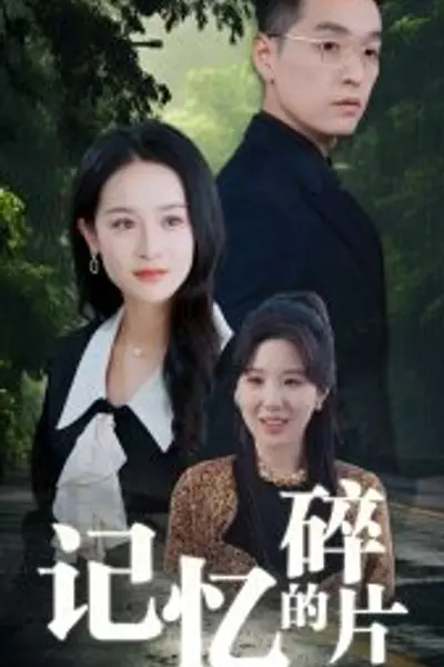 记忆的碎片