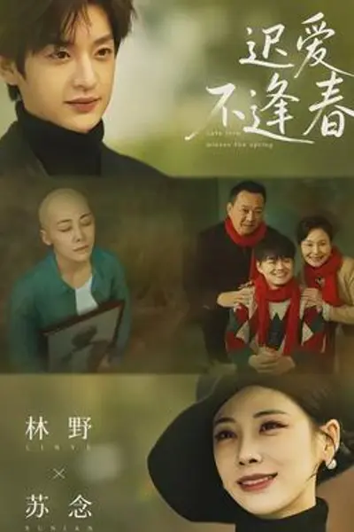 迟爱不逢春